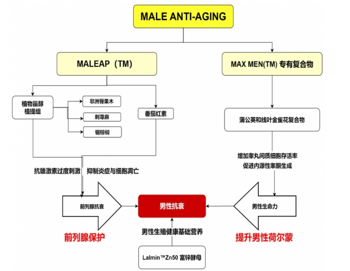 LAIFE乐维源呵护男性健康，让“男”题不再难