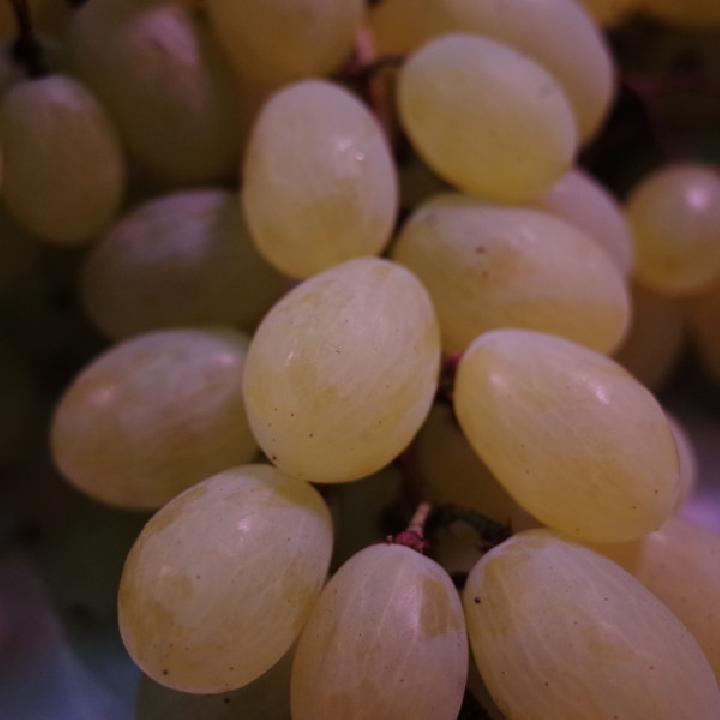 痰濕體質(zhì)怎樣養(yǎng)生？推薦春筍清粥去痰濕效果好