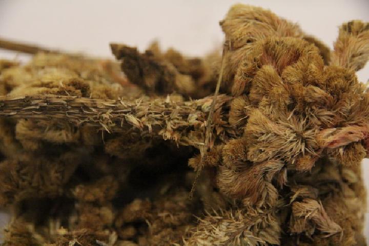 芹菜飞龙游戏平台做好吃?妙用芹菜做出养生药膳