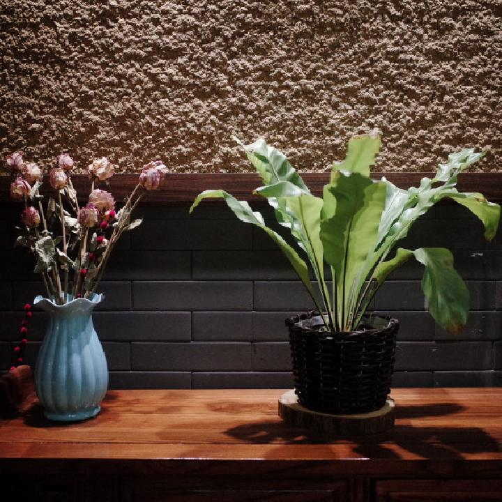 孕媽媽養(yǎng)胎不能養(yǎng)哪些花？孕媽媽養(yǎng)胎9種花碰不得