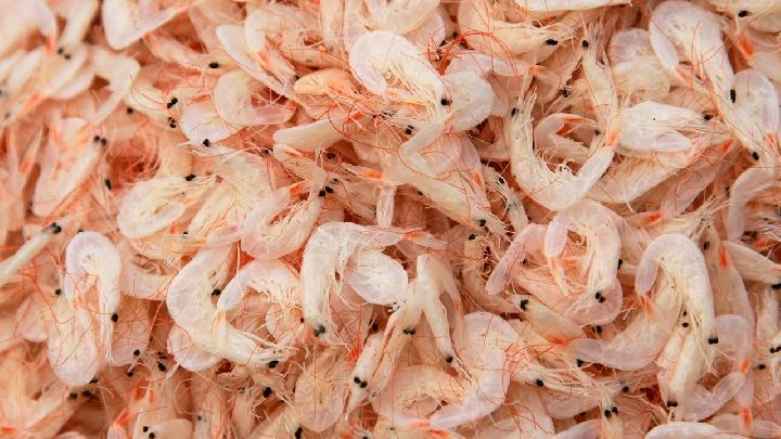 夏季減肥吃什么比較好 夏季想要減肥就吃這9種食物