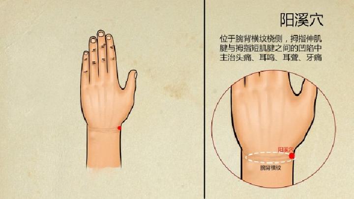 針灸減肥法真的有效嗎 針灸減肥常見(jiàn)的10大穴位