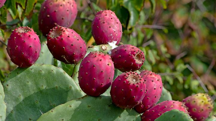 怀孕早期食欲不振怎么办才好？怀孕早期都有哪些饮食注意事项