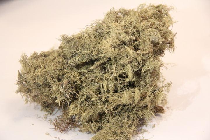 中醫(yī)治療偏頭痛有哪些方法