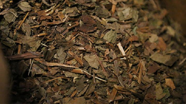 秋季養(yǎng)生宜多吃魚 適合吃的五種魚推薦