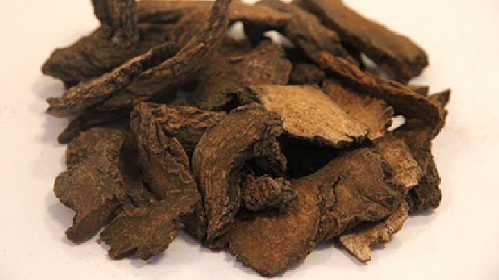 馬肉能吃嗎 你有過了解嗎