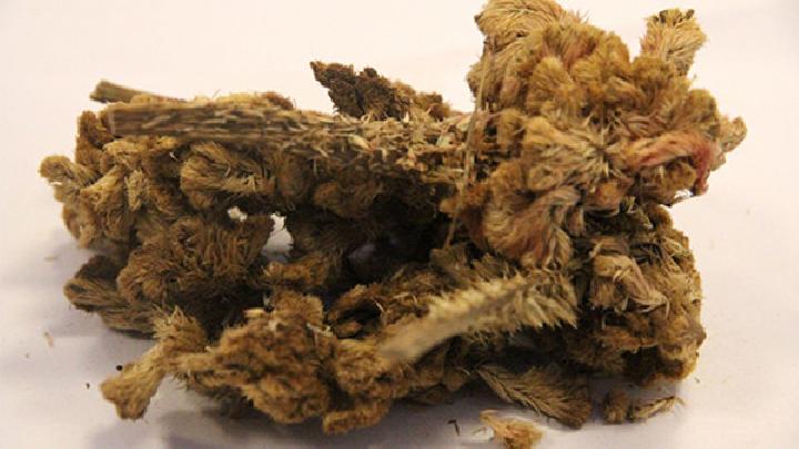 巧做美味可口藥膳粥防止花眼