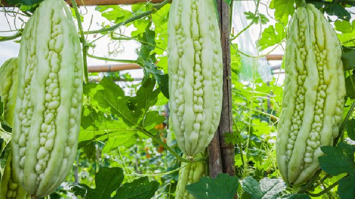 這些補鈣蔬菜竟比鈣片還補鈣 你知道有哪些嗎