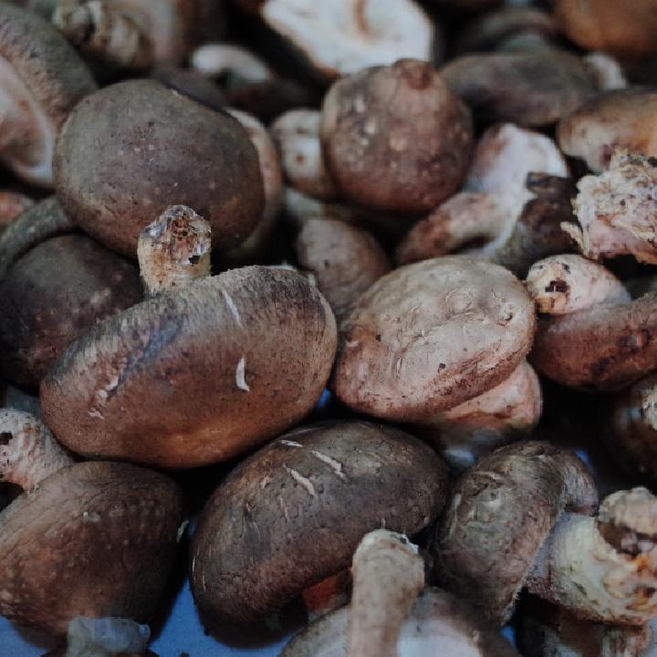 不同的醋適合做不同菜