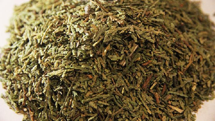 決明子荷葉茶 瘦身必備