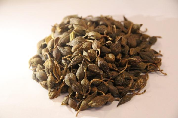 中醫(yī)藥粥滅掉肌膚“紅燈”
