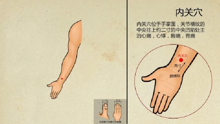 9種健康補(bǔ)身中醫(yī)減肥食譜