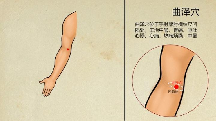 9種健康補(bǔ)身中醫(yī)減肥食譜