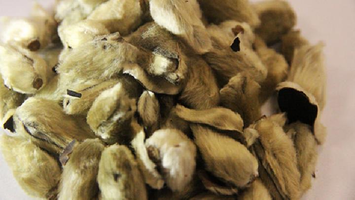 推薦四款經(jīng)典美味藥膳粥 助你延年益壽