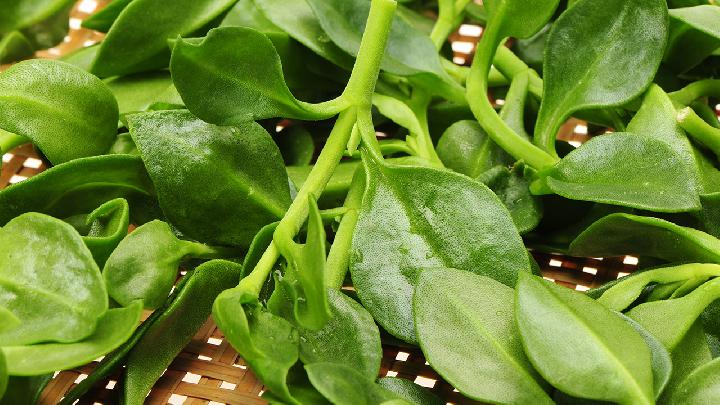 當心!素食減肥的6個誤區(qū)