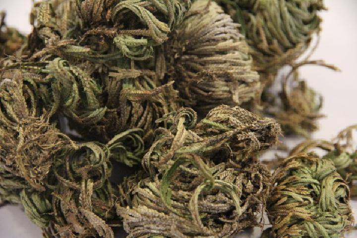 宮廷皇家秘制減肥藥膳 利水消腫鯉魚湯