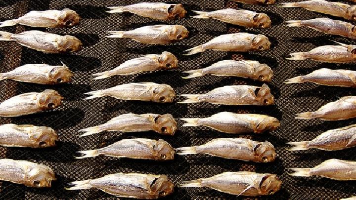 貪吃不怕胖 5款刮油食物拯救你