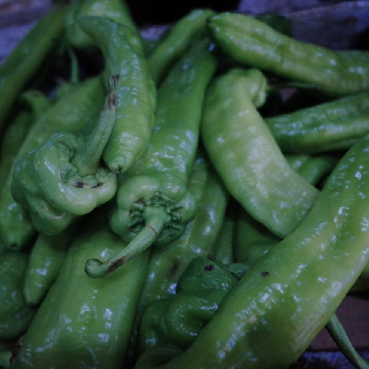 變胖幾率為零 強(qiáng)效燃脂辣椒減肥食譜