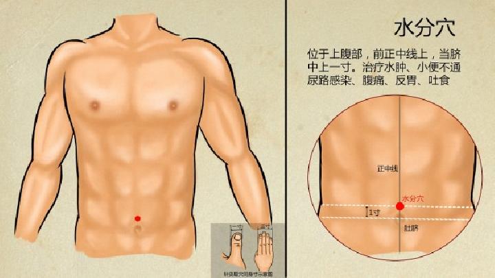 中醫(yī)推薦:脂肪性肥胖消脂更適合吃山楂