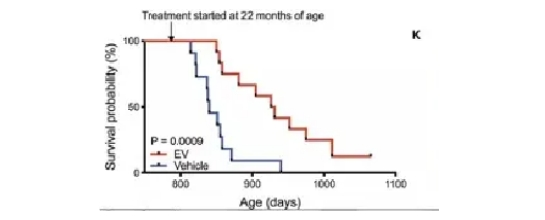 迈向年轻化的未来：LAIFE乐悦泰引领健康抗衰新潮流