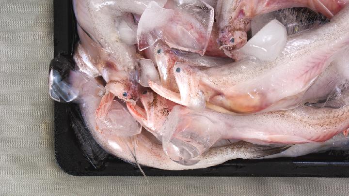 冬季吃一種魚(yú)健脾利濕有奇效