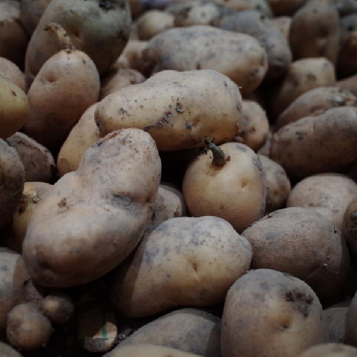 家常孜然狼牙土豆的做法
