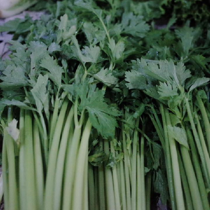 芹菜炒豬肚——健脾和胃養(yǎng)心安神