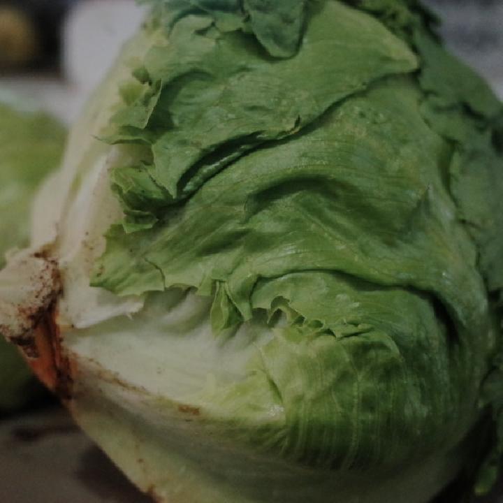 瘦肉青菜粥的做法