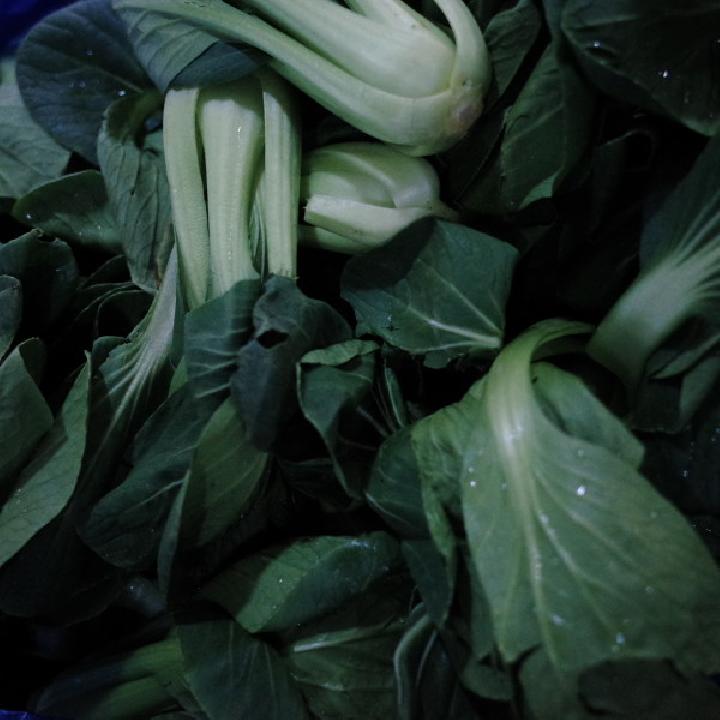 怎樣做蔬菜包子呢