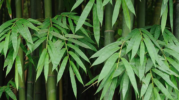 寶寶喝牛奶的注意事項 牛奶是否喝越多越好