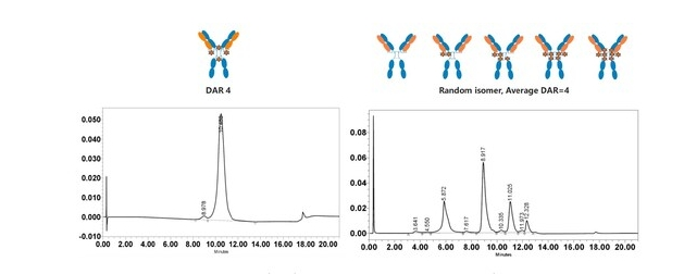 迈威生物在第 14 届World ADC大会展示 IDDC™ 平台技术及 ADC 药物开发成果