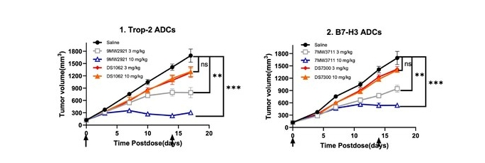 迈威生物在第 14 届World ADC大会展示 IDDC™ 平台技术及 ADC 药物开发成果