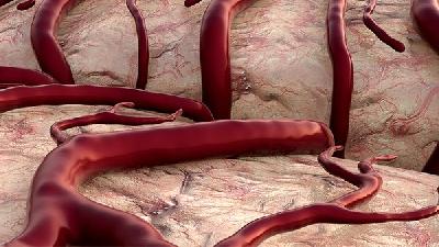 平均红细胞血红蛋白浓度偏高
