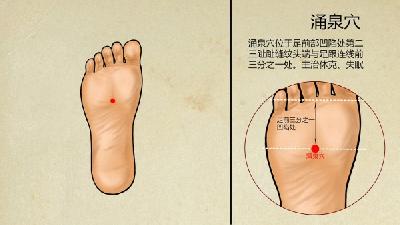 人体有5个“窝”决定寿命长短