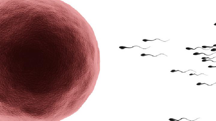 如何才能提高精子的质量 提高精子活力的四项建议