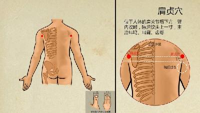 按哪个穴位可以瘦腿呢