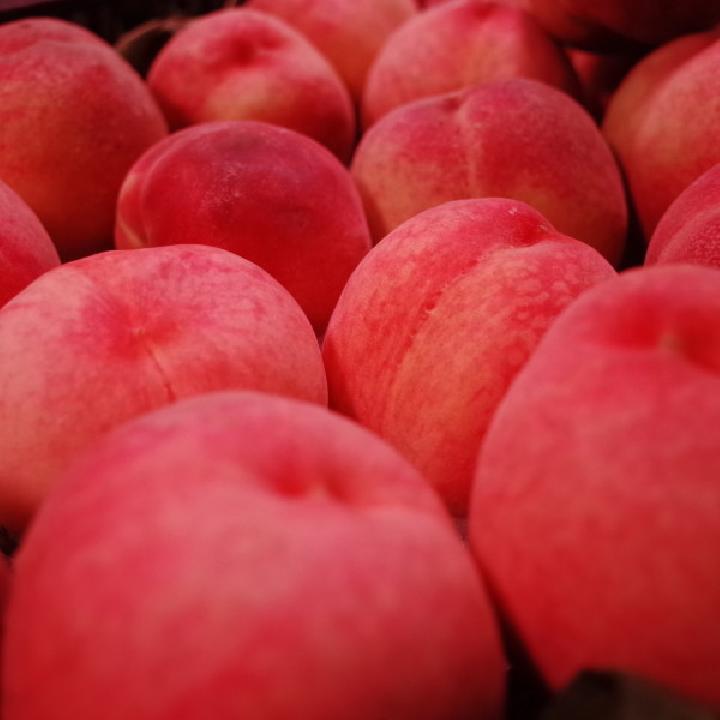 杏子和桃子能一起吃吗温性水果过量增加体内燥热之气