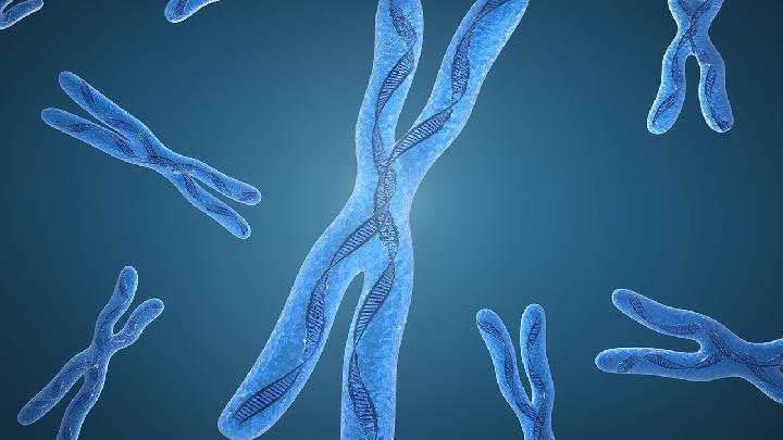 骨髓染色体是检查什么