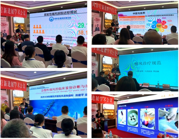 济南中医风湿医院举办首届京沪鲁痛风诊疗新进展学术会议