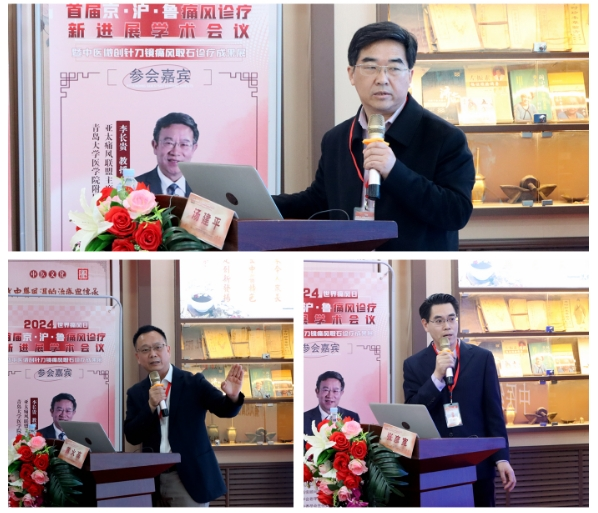 济南中医风湿医院举办首届京沪鲁痛风诊疗新进展学术会议