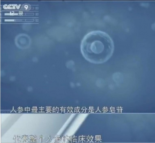 美国W+稀有人参皂苷,通加斯原始森林珍选,引领健康未来