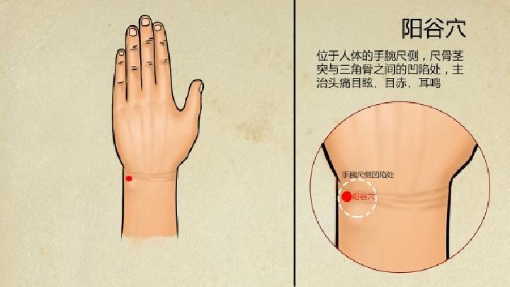 哪些穴位最适合养生按摩养生的穴位介绍