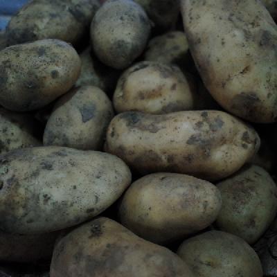 土豆的美白功效好吗?