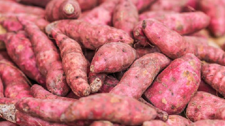 红薯和紫薯哪个营养价值高 紫薯干吃多了会胖吗