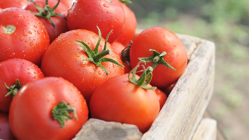 生吃西红柿有什么好处呢？