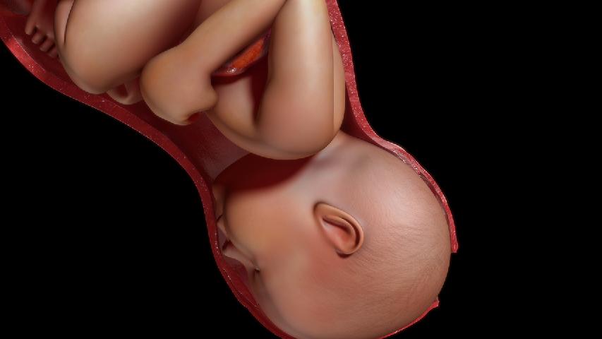 B超影响胎儿发育吗？孕期B超的检查次数有讲究
