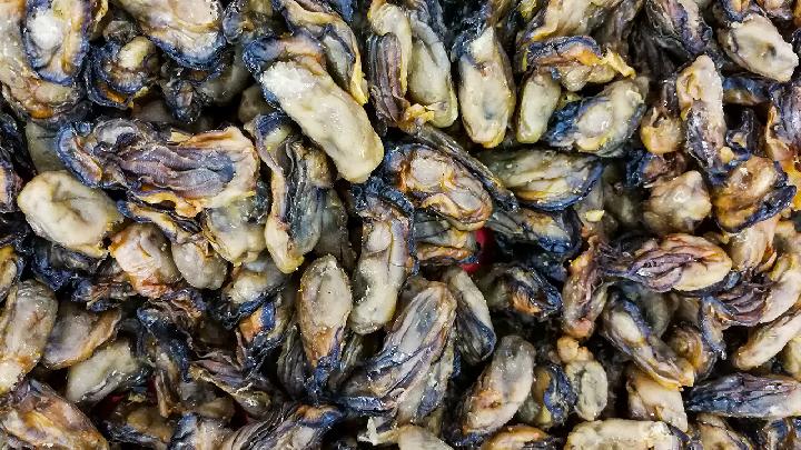 牡蛎花生汤——滋润肌肤健脑益智