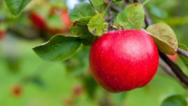 烤青苹果——健脾消食养心益气