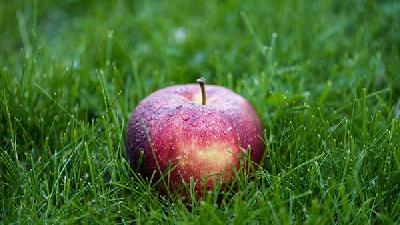 苹果有助降血压 常吃苹果10大好处