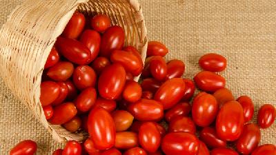 西红柿营养价值大揭秘 想美容就来看看吧！